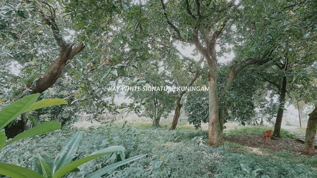 Tanah Kavling 6800m Lokasi Strategis di Jalan Raya Lenteng Agung