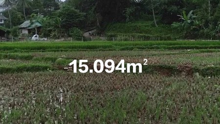DIJUAL TANAH LUAS 15.094m2 - CIMANDE, CARINGIN, BOGOR