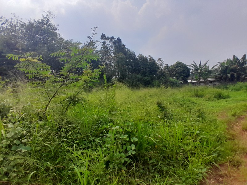 Tanah Kavling Murah di Ciangsana Dekat Kota Wisata