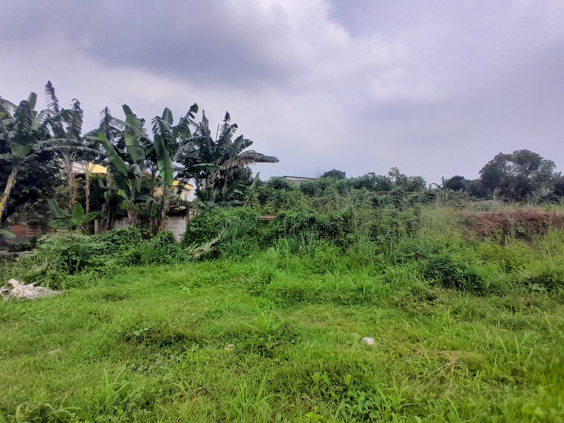Tanah Kavling Murah di Ciangsana Dekat Kota Wisata