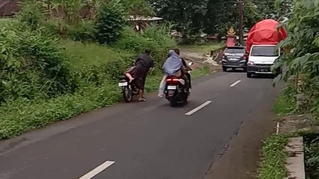 Jual Kebun Durian Produktif dekat Kebun Raya Purwodadi