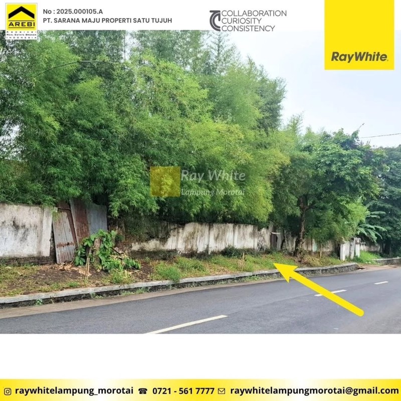 DI JUAL TANAH PINGGIR JALAN GEDUNG TATAAN PESAWARAN LAMPUNG 