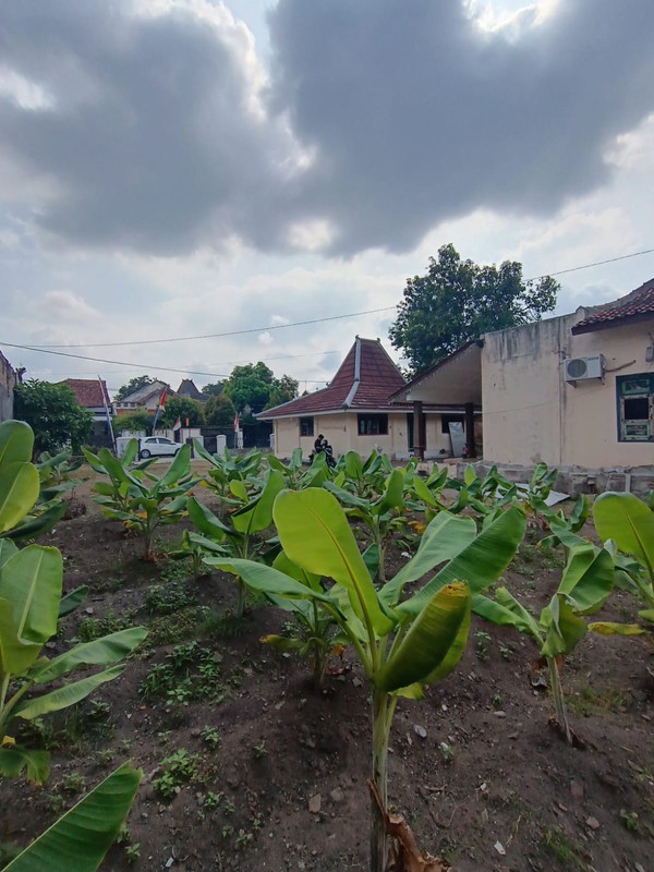 Rumah Joglo Cocok Untuk Homestay Di Area Kraton Yogyakarta