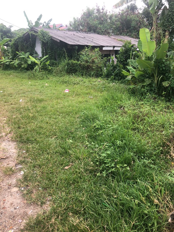 Kavling Siap Bangun Di Jl Gotong Royong, Pondok Cabe Udik Pamulang