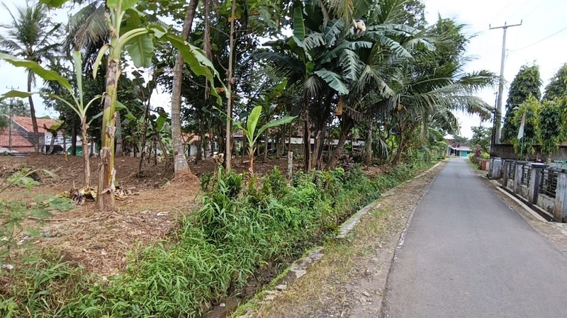 Tanah / Kavling Luas 1220m2 di Banjar Ciamis Jawa Barat