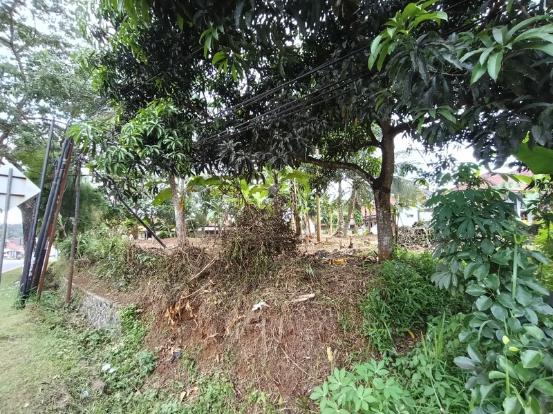 Tanah / Kavling Luas 1220m2 di Banjar Ciamis Jawa Barat