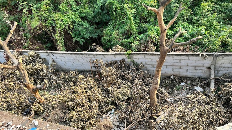 Jual cepat rumah area cilego palem hills jalan palem putri atas tangerang banten