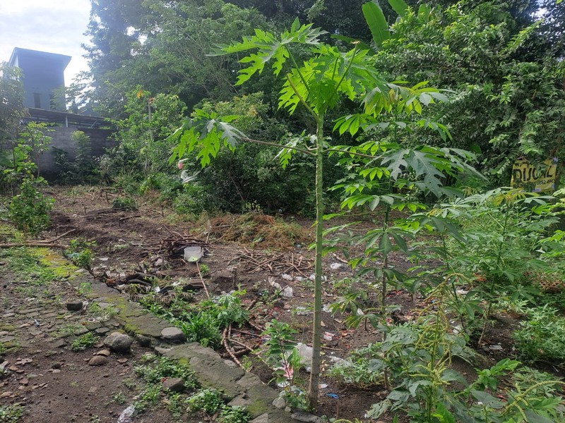 Tanah Tegalan Luas 331 Meter Persegi Lokasi Strategis di Sariharjo - Ngaglik Sleman 