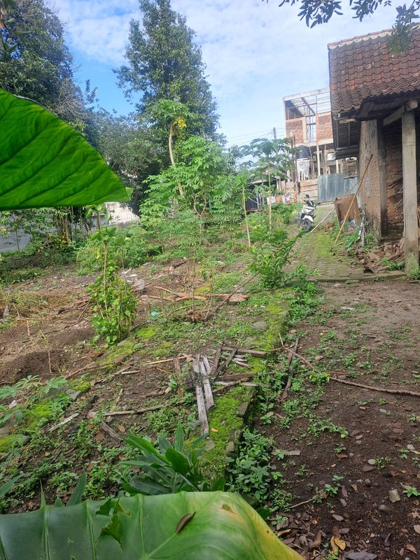 Tanah Tegalan Luas 331 Meter Persegi Lokasi Strategis di Sariharjo - Ngaglik Sleman 