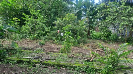 Tanah Tegalan Luas 331 Meter Persegi Lokasi Strategis di Sariharjo - Ngaglik Sleman 