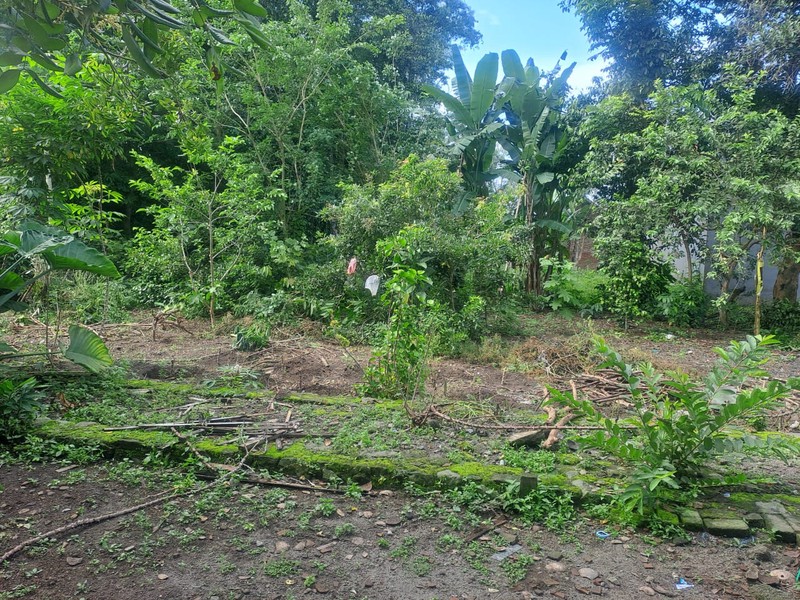 Tanah Tegalan Luas 331 Meter Persegi Lokasi Strategis di Sariharjo - Ngaglik Sleman 