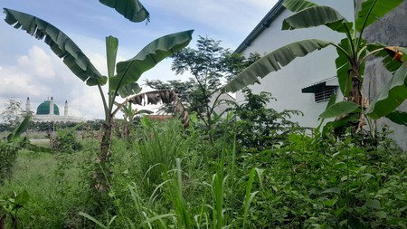 Disewakan Tanah Sawah Luas 1465 Meter Persegi Lokasi Strategis di Klaten Utara 