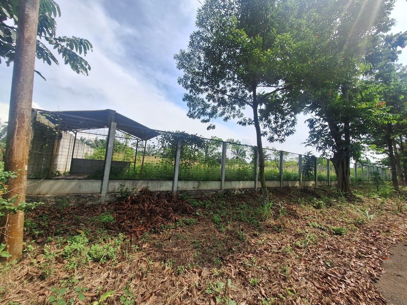 Dijual 2 Kavling Tanah  Kahuripan, Bogor