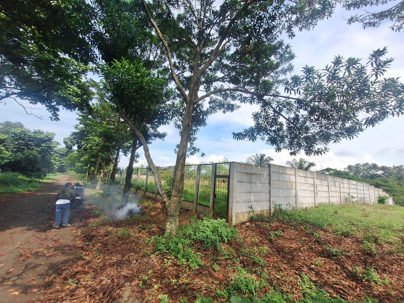 Dijual 2 Kavling Tanah  Kahuripan, Bogor