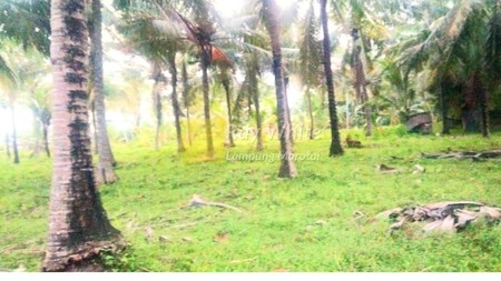 DIJUAL TANAH PANTAI KALIANDA LAMPUNG