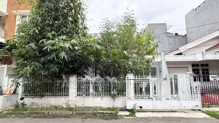 Rumah Kelapa Nias, Kelapa Gading