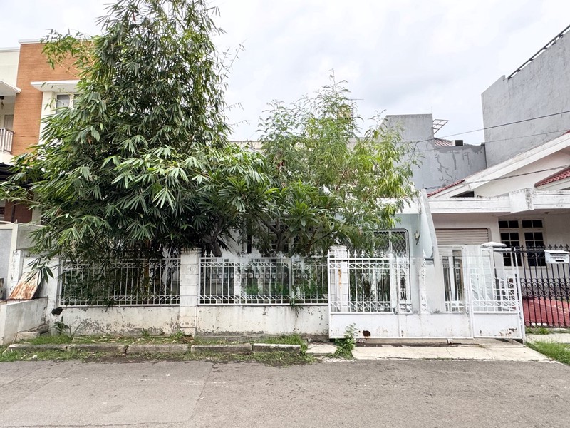 Rumah Kelapa Nias, Kelapa Gading