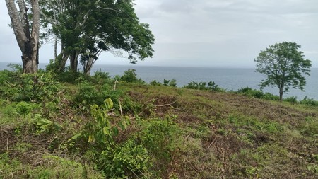 Land Cliff Front Leasehold In Great Location Thomas Beach Bali