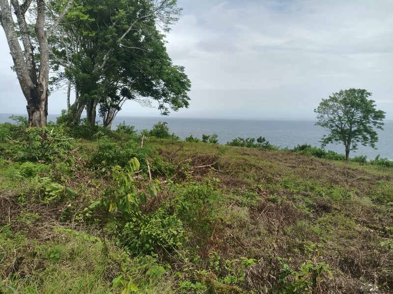 Land Cliff Front Leasehold In Great Location Thomas Beach Bali