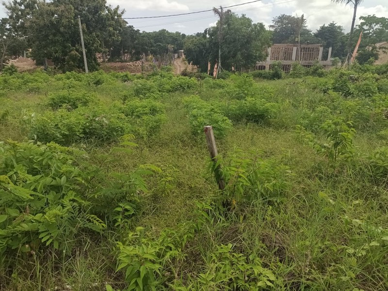 Land Cliff Front Leasehold In Great Location Thomas Beach Bali