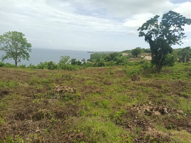 Land Cliff Front Leasehold In Great Location Thomas Beach Bali