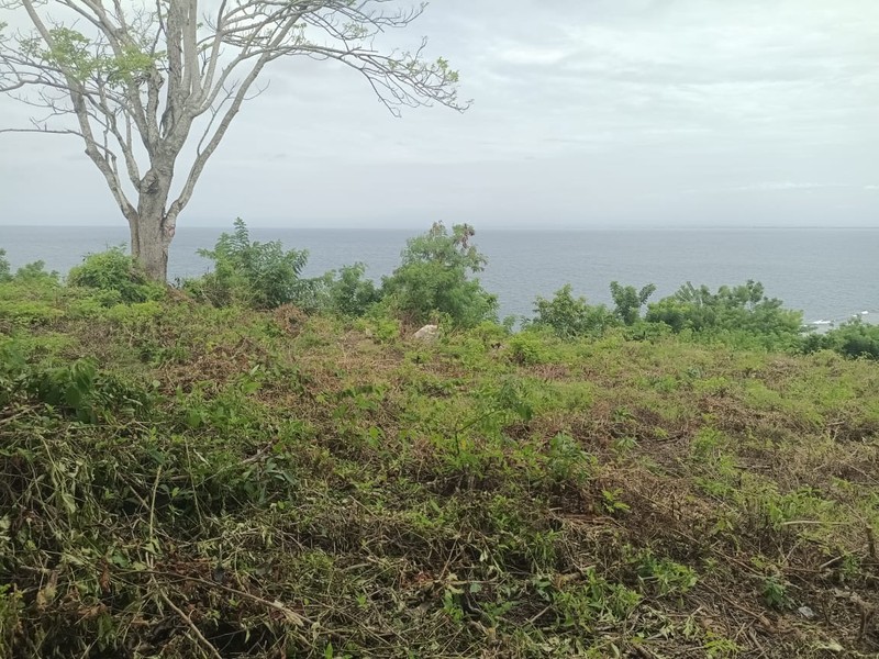 Land Cliff Front Leasehold In Great Location Thomas Beach Bali
