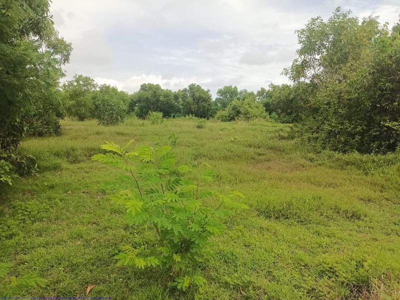 Land Freehold Cliff Front Nyang Nyang Beach Bali