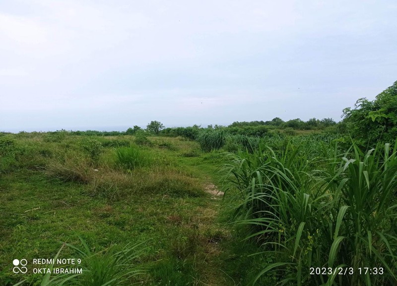 Land Freehold Cliff Front Nyang Nyang Beach Bali