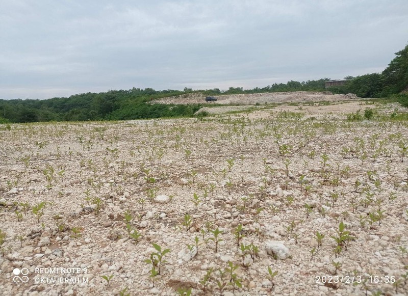 Land Freehold Cliff Front Nyang Nyang Beach Bali
