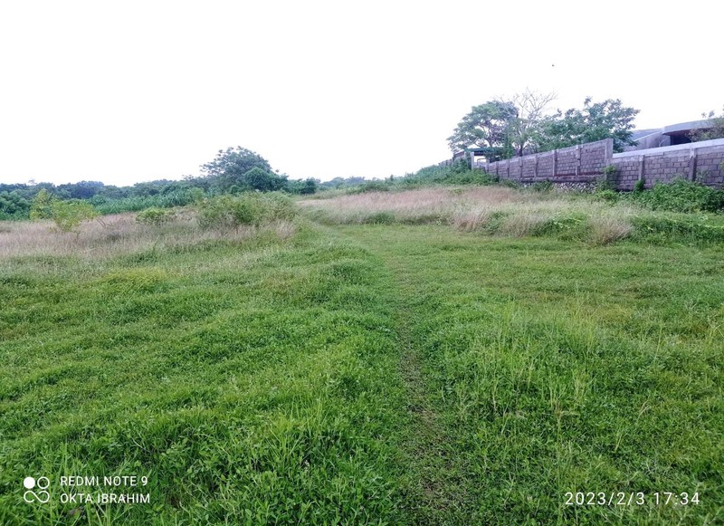Land Freehold Cliff Front Nyang Nyang Beach Bali