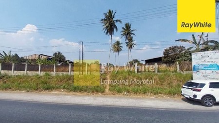 Jual Tanah Natar Hajimena 