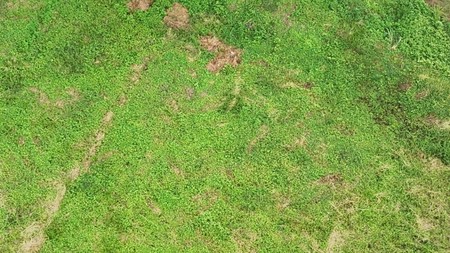 Dijual Tanah Citraland Woodland Surabaya Barat