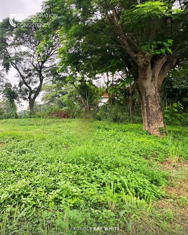 Dijual Tanah Citraland Woodland Surabaya Barat