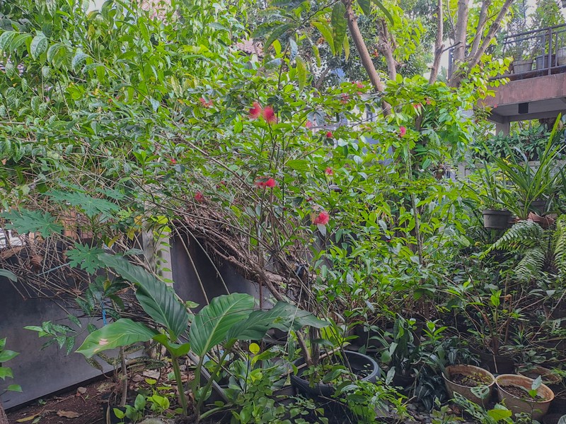 Rumah klasik di Blok S Kebayoran Baru, dekat Senopati, Kuningan 