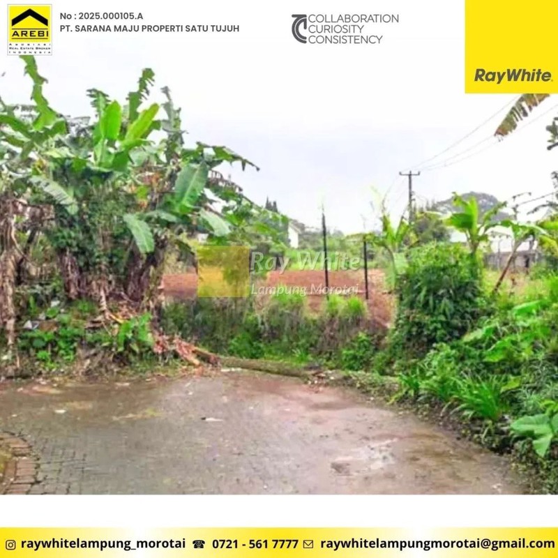 Dijual Tanah di Cipanas, Cianjur,  Jawa Barat