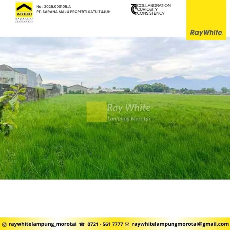 Dijual Tanah Sawah di Mojoagung, Jombang, Jawa Timur