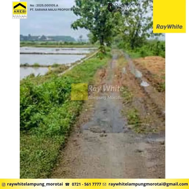 Dijual Tanah Sawah di Mojoagung, Jombang, Jawa Timur