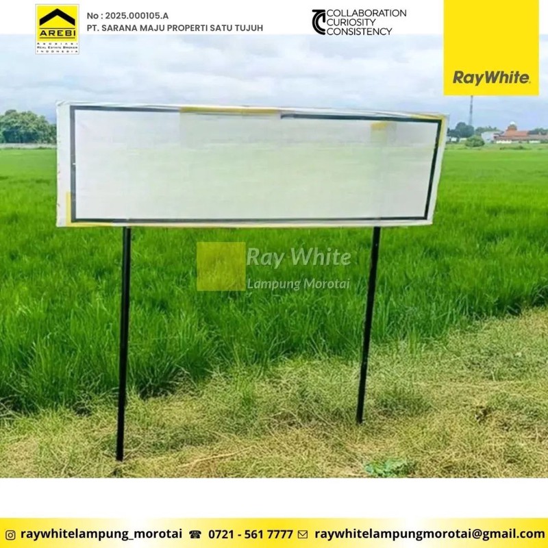 Dijual Tanah Sawah di Mojoagung, Jombang, Jawa Timur