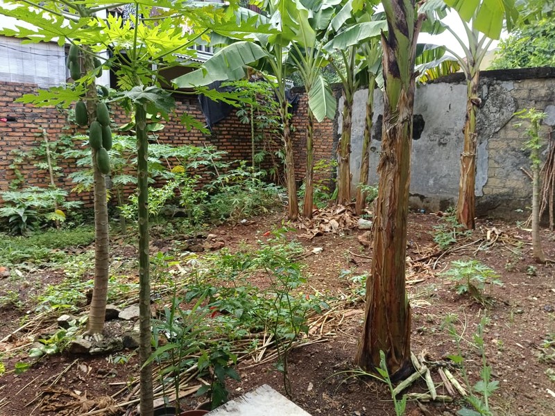 Rumah Dijual di Duren Tiga