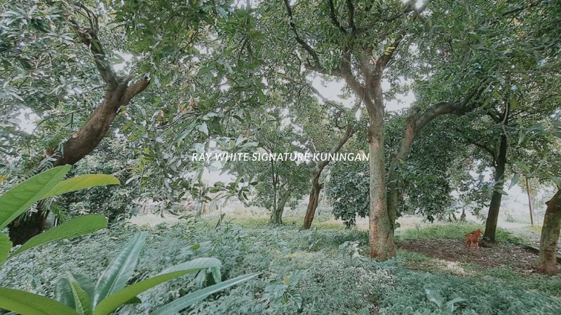 Dijual Tanah Kavling 6800m Lokasi Strategis di Jalan Raya Lenteng Agung