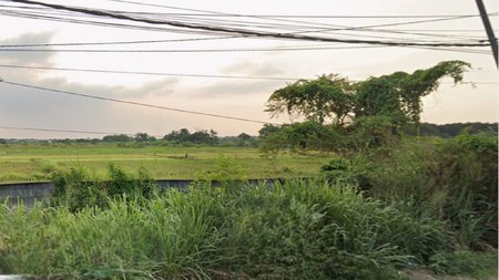 Dijual 3884 m2 Tanah Gresik Nol Jalan Raya ( dekat Perbatasan Citraland CBD Driyorejo dan Citraland Surabaya Barat)