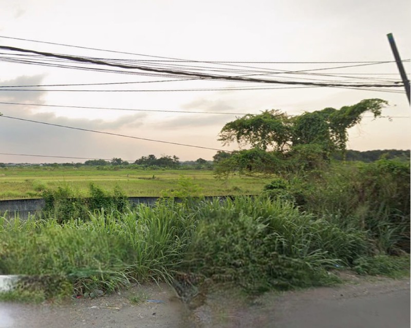 Dijual 3884 m2 Tanah Gresik Nol Jalan Raya ( dekat Perbatasan Citraland CBD Driyorejo dan Citraland Surabaya Barat)