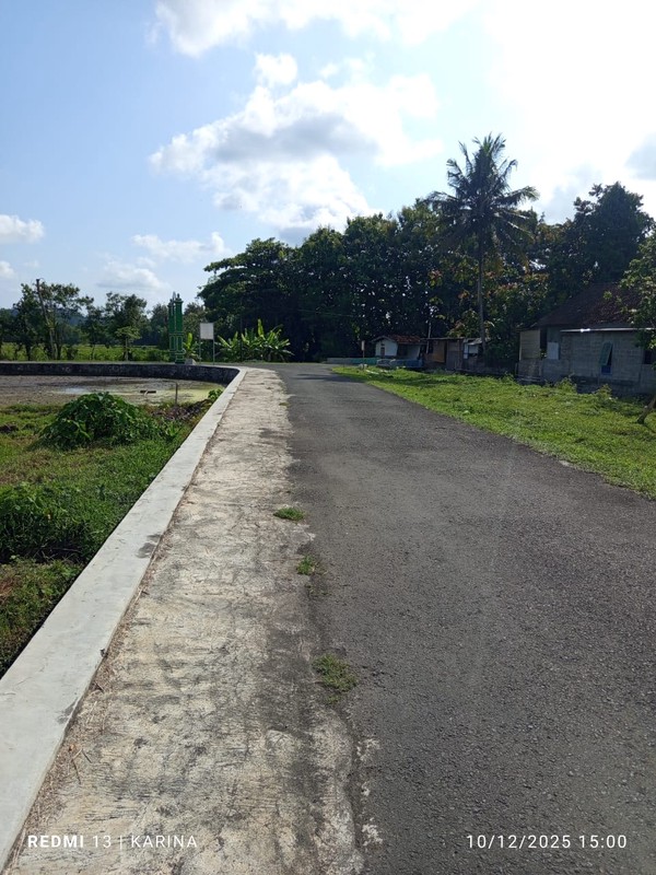 Tanah Sawah Luas 671 Meter Persegi Lokasi di Daerah Sidomulyo Godean 