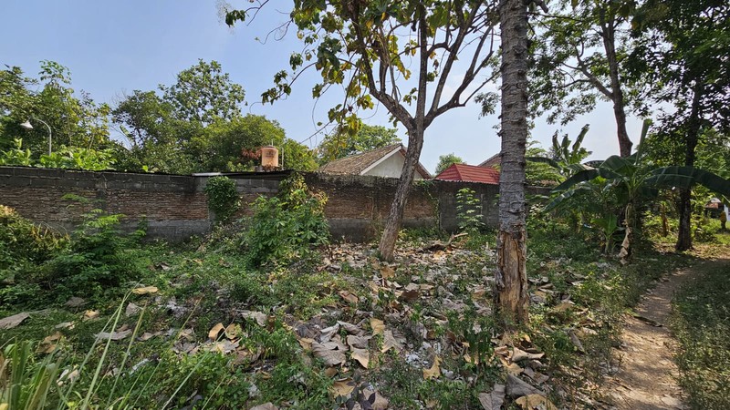 Tanah Pekarangan Strategis Dekat Jalan Keniten - Cocok untuk Hunian atau Investasi !!