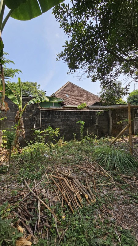 Tanah Pekarangan Strategis Dekat Jalan Keniten - Cocok untuk Hunian atau Investasi !!