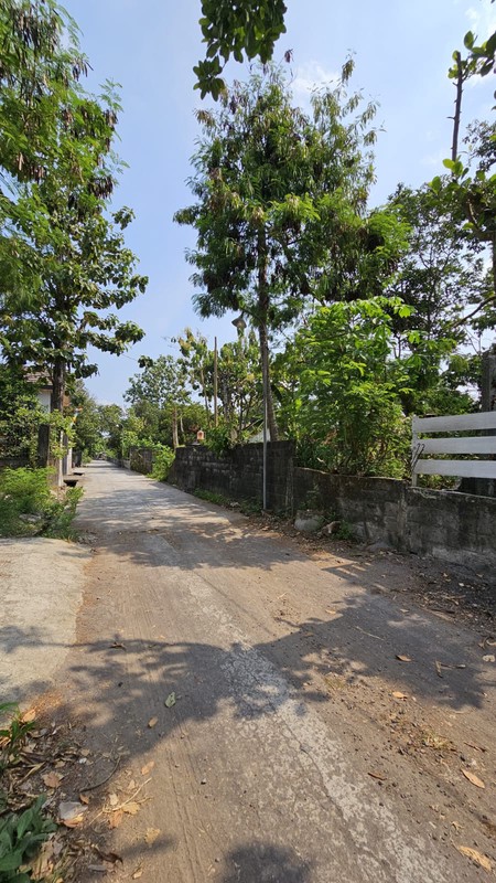 Tanah Pekarangan Strategis Dekat Jalan Keniten - Cocok untuk Hunian atau Investasi !!