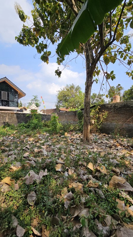 Tanah Pekarangan Strategis Dekat Jalan Keniten - Cocok untuk Hunian atau Investasi !!