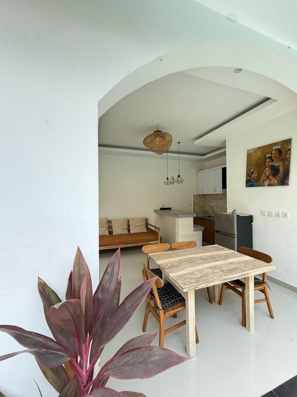 Villa 2 Bedroom In Padonan Canggu Bali