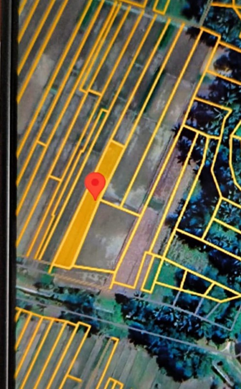 Tanah Sawah Lokasi Strategis Dekat Bandara YIA - Temon Kulon Progo 