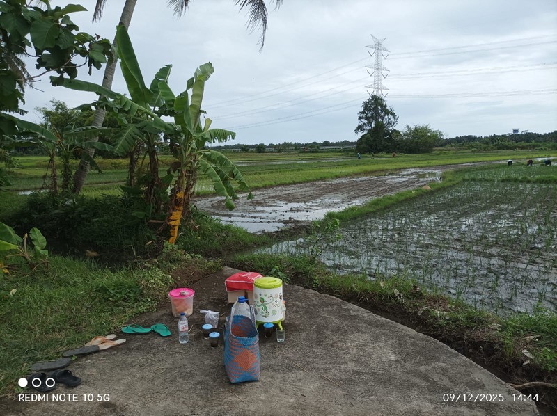 Tanah Sawah Lokasi Strategis Dekat Bandara YIA - Temon Kulon Progo 